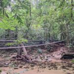 20250323_091659